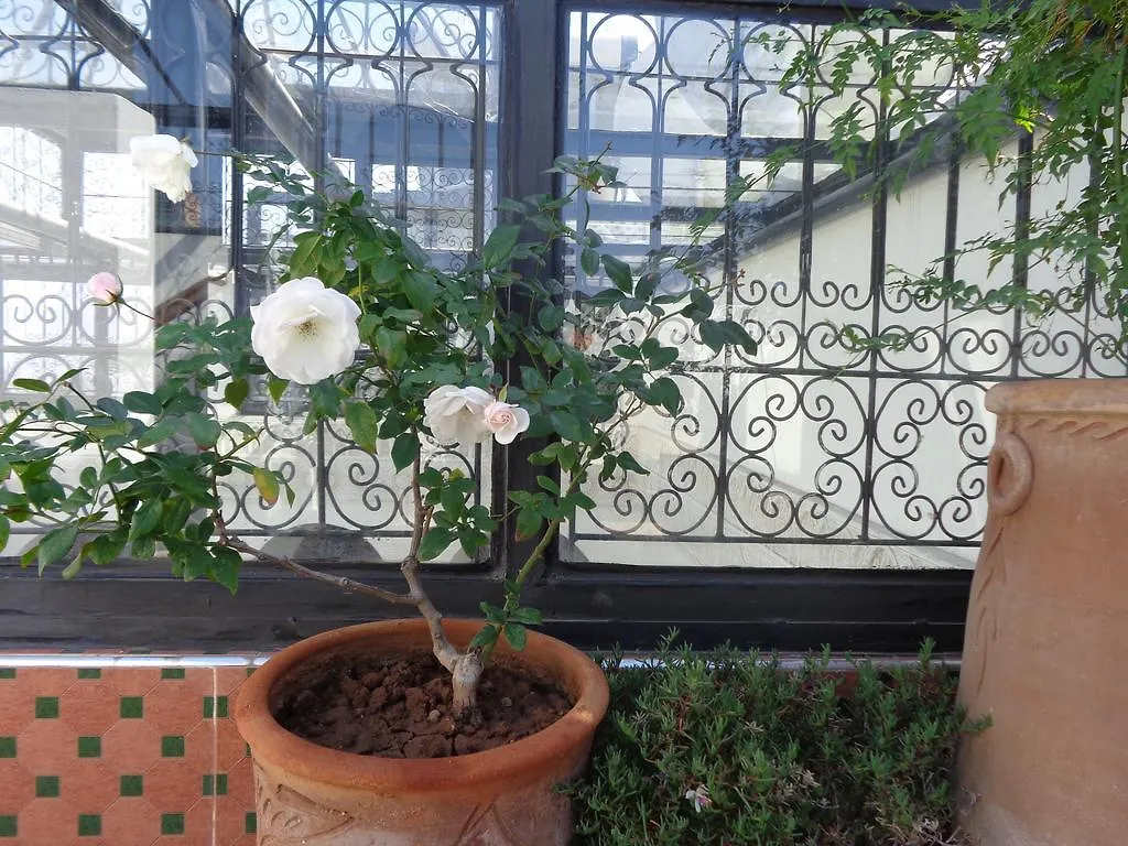 Riad Mouna Marrakesh 3*,  Morocco