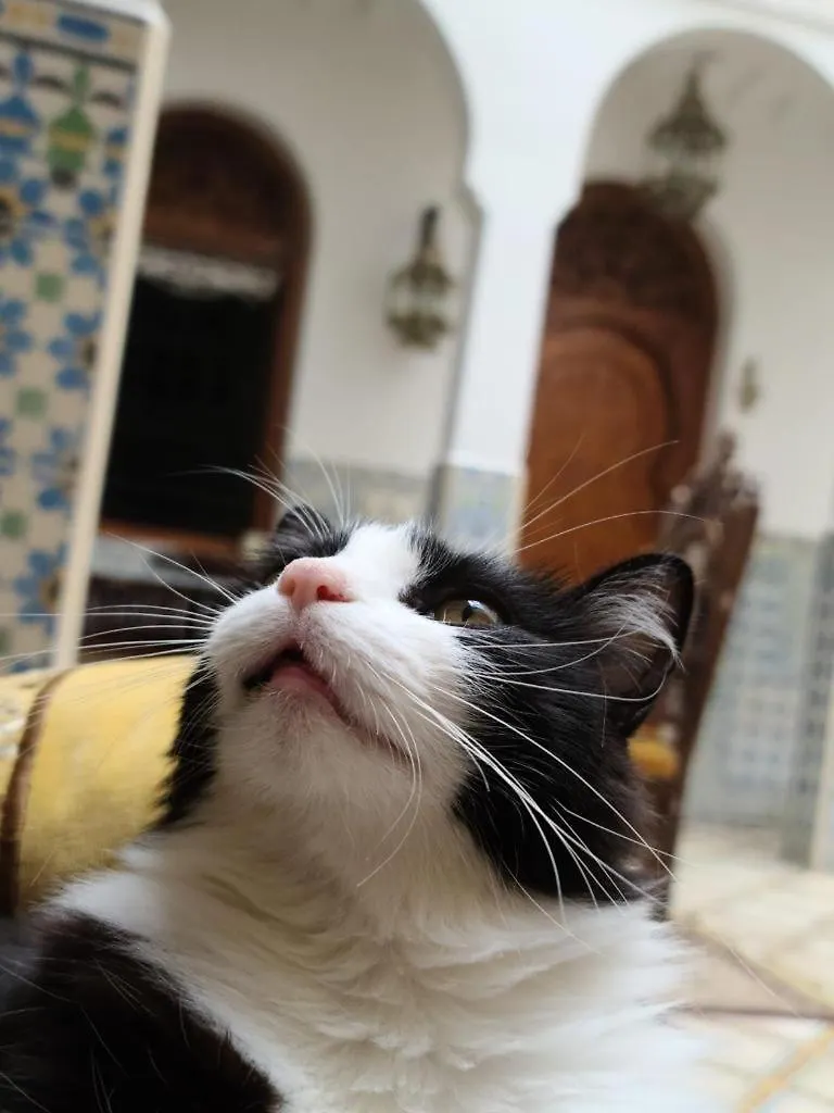 Riad Mouna Marrakesh 3*,