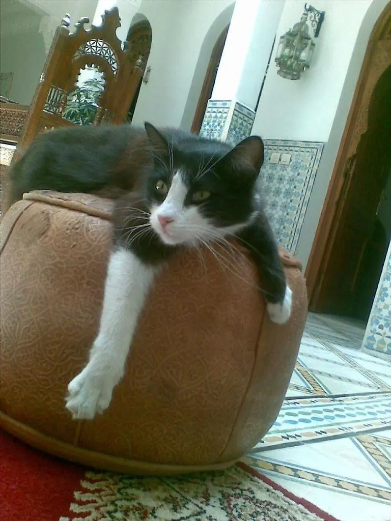 Riad Mouna Marrakesh 3*,